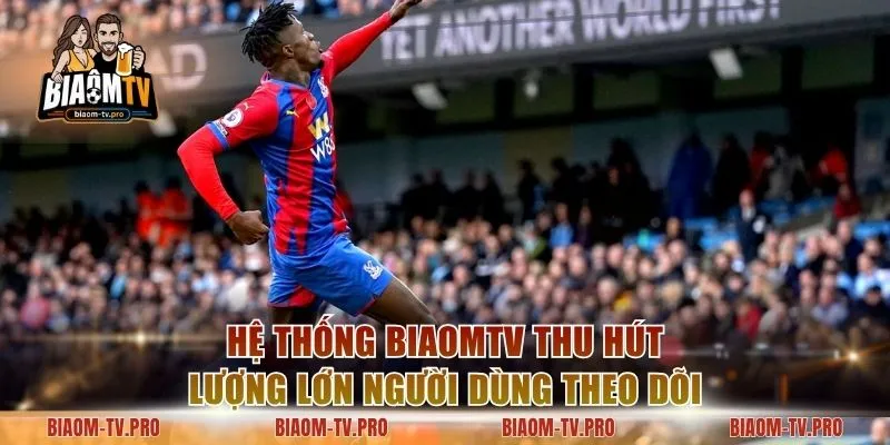 Hệ thống BiaomTV thu hút lượng lớn người dùng theo dõi