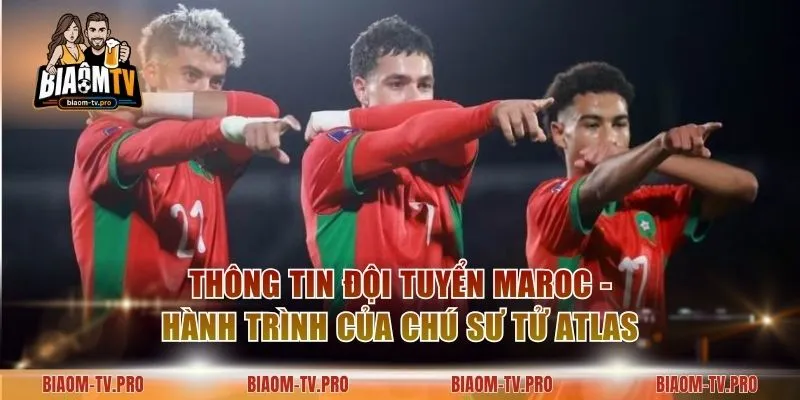 Thông Tin Đội Tuyển Maroc - Hành Trình Của Chú Sư Tử Atlas