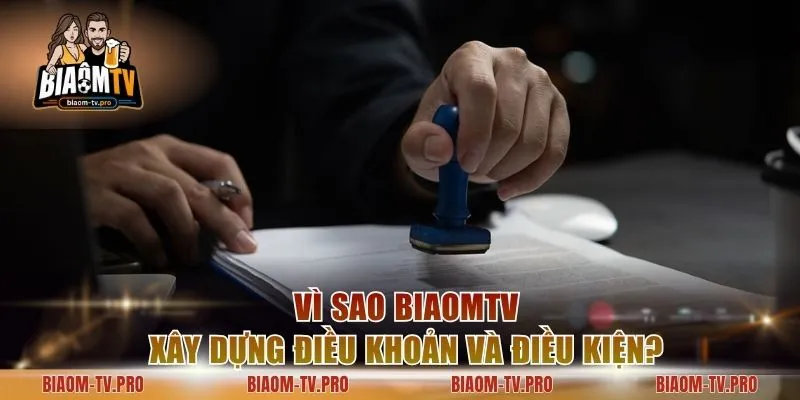 Vì sao BiaomTV xây dựng điều khoản và điều kiện?